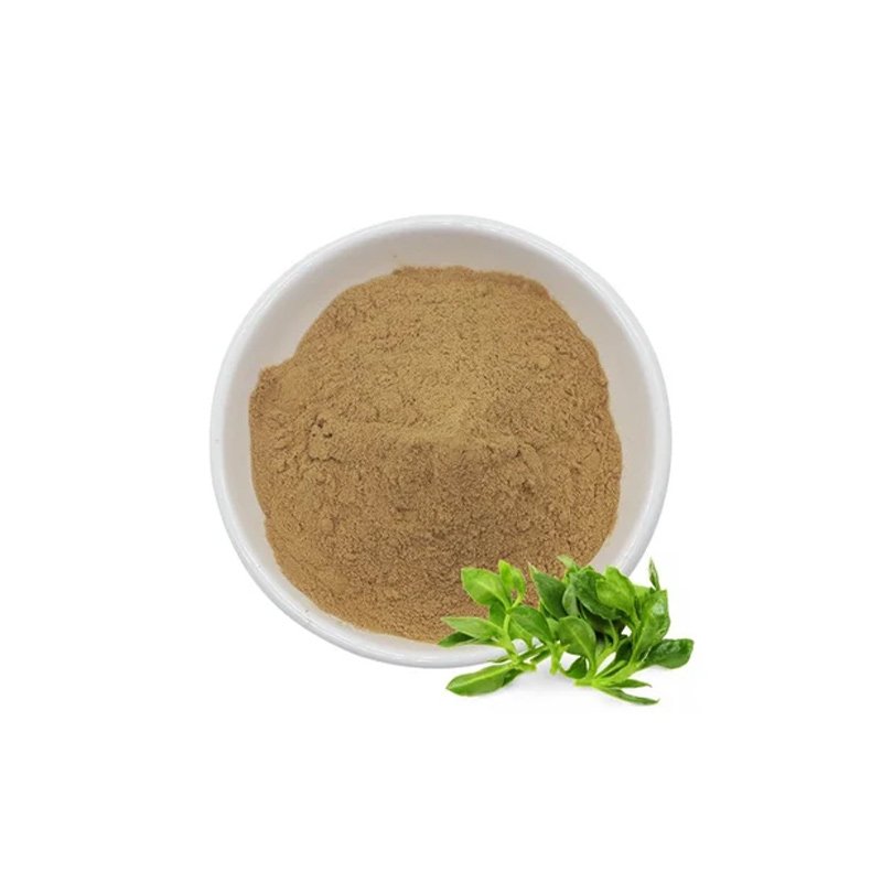Andrographis Extract