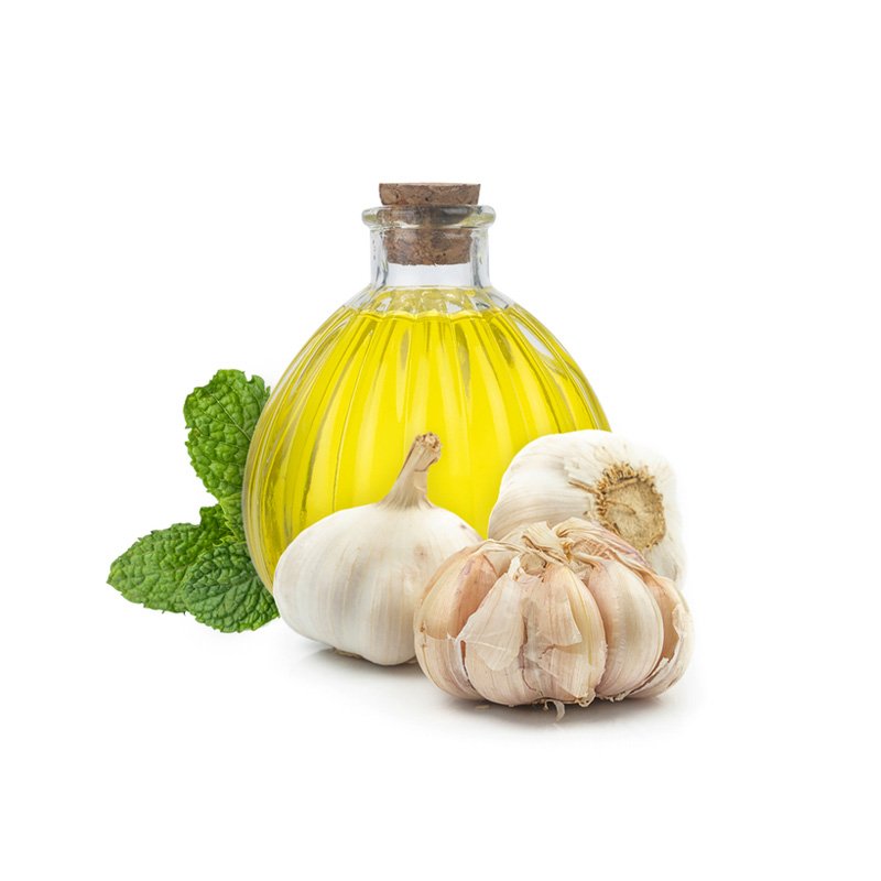 Garlic (Allium Sativum) Extract