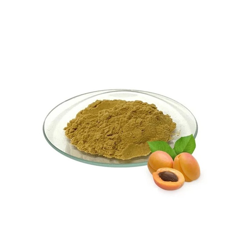Apricot Seed 10:1 Extract