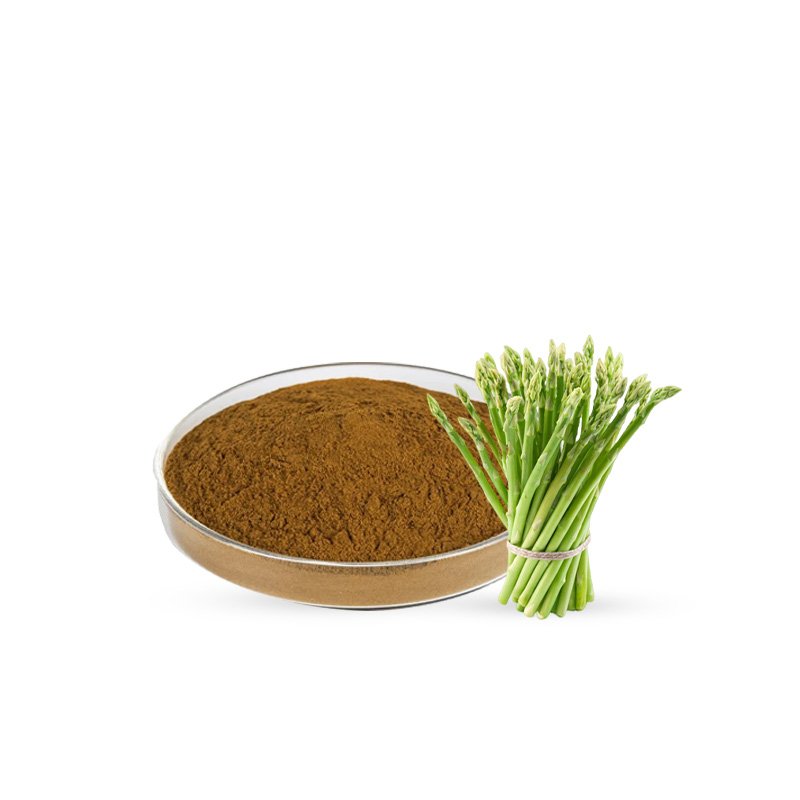 Asparagus Rhizome Extract 20% Saponins